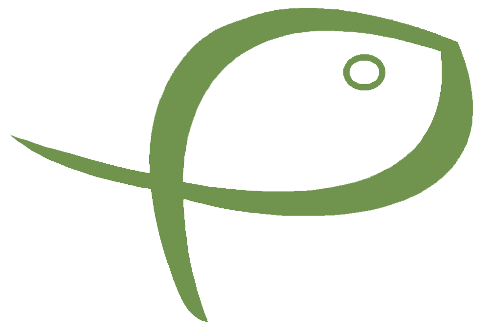 Conservas Concepción logo
